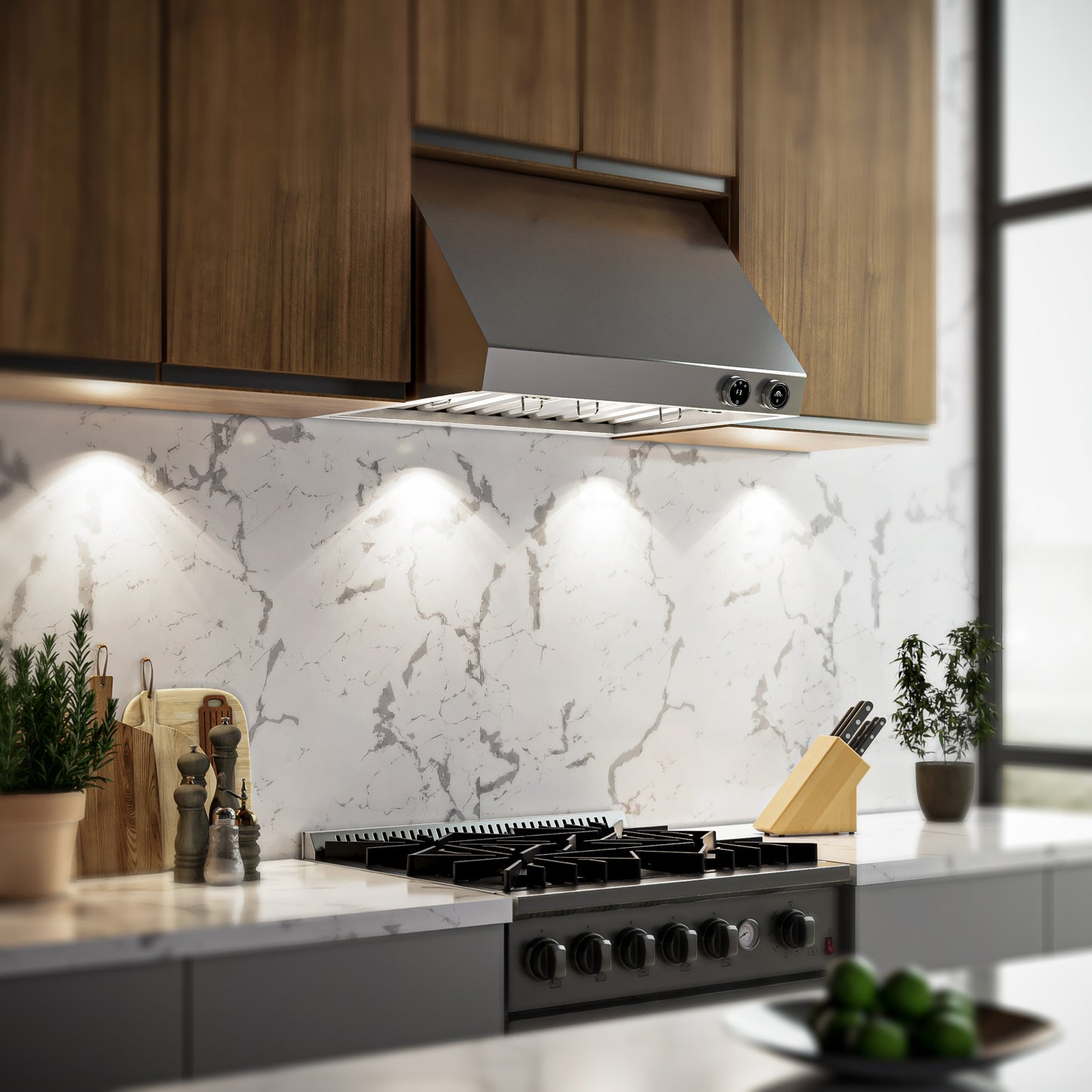 Forno Biagio 30-Inch Wall Mounted Range Hood, Stainless Steel, Heavy Duty - Forno Appliances